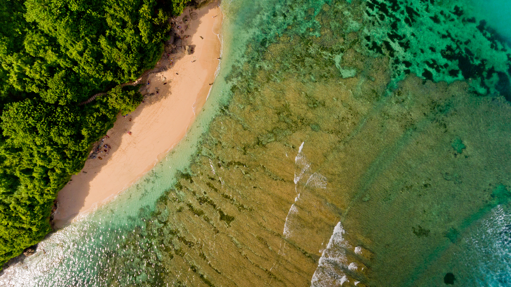 Green Bowl beach in Uluwatu, Bali