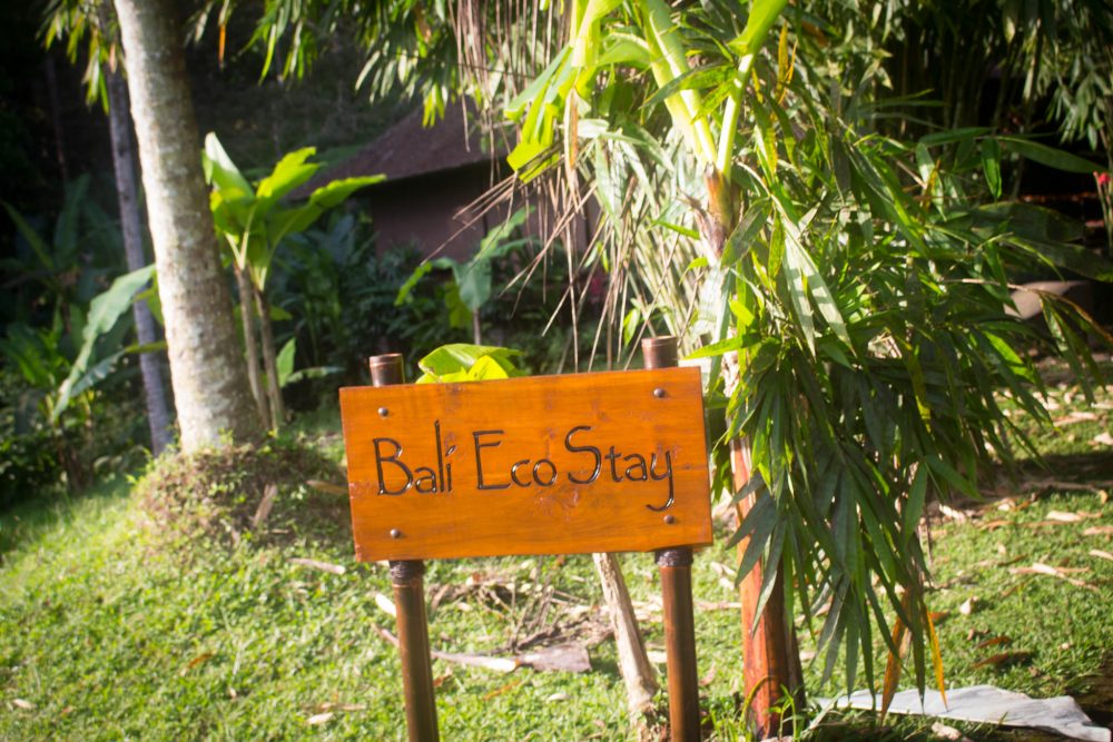 Immerse yourself in nature with a trip to Bali Ecostay https://www.flickr.com/photos/petersonfamilytravels/37955595421/