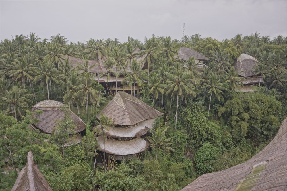 Take an eco-tour of the Green Vilage while you're in Ubud.