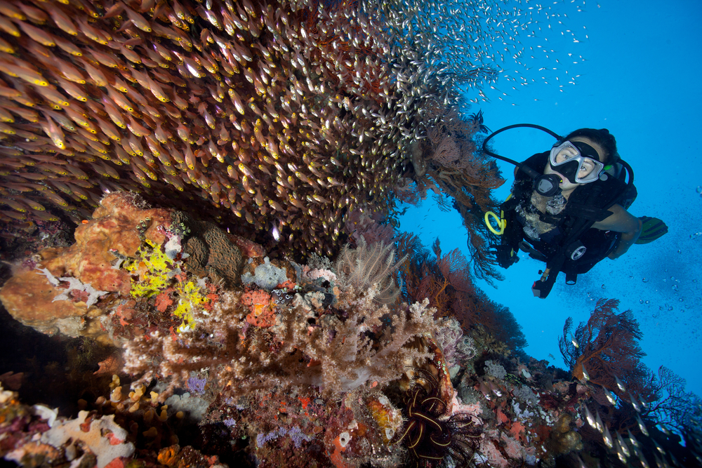 There are several excellent scuba diving spots around Bali.
