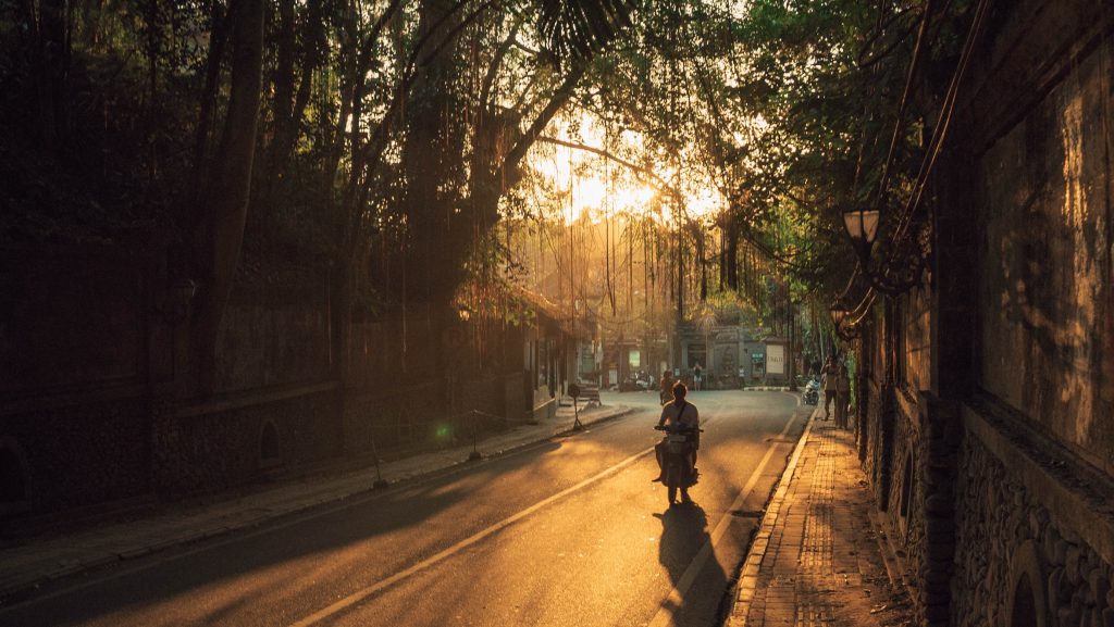 Travel Guide to Ubud