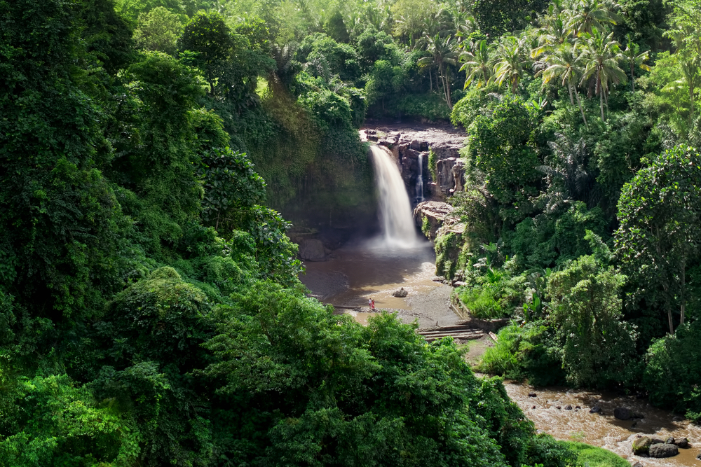 Gianyars's landscapes range from beaches to rice fields, to waterfalls - perfect for adventurous travellers!