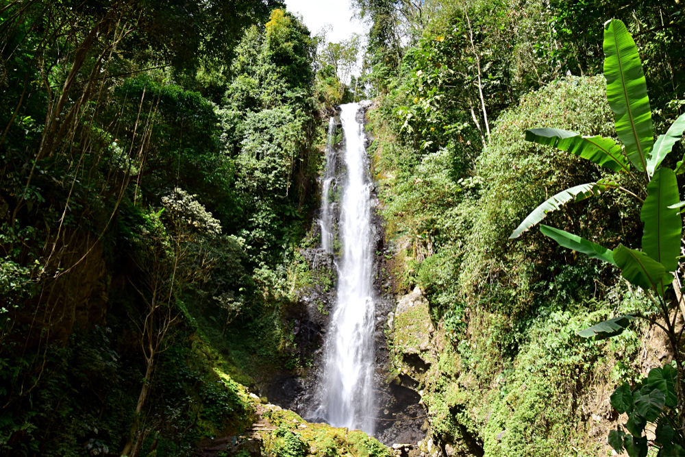 There are many incredible waterfalls near Munduk.