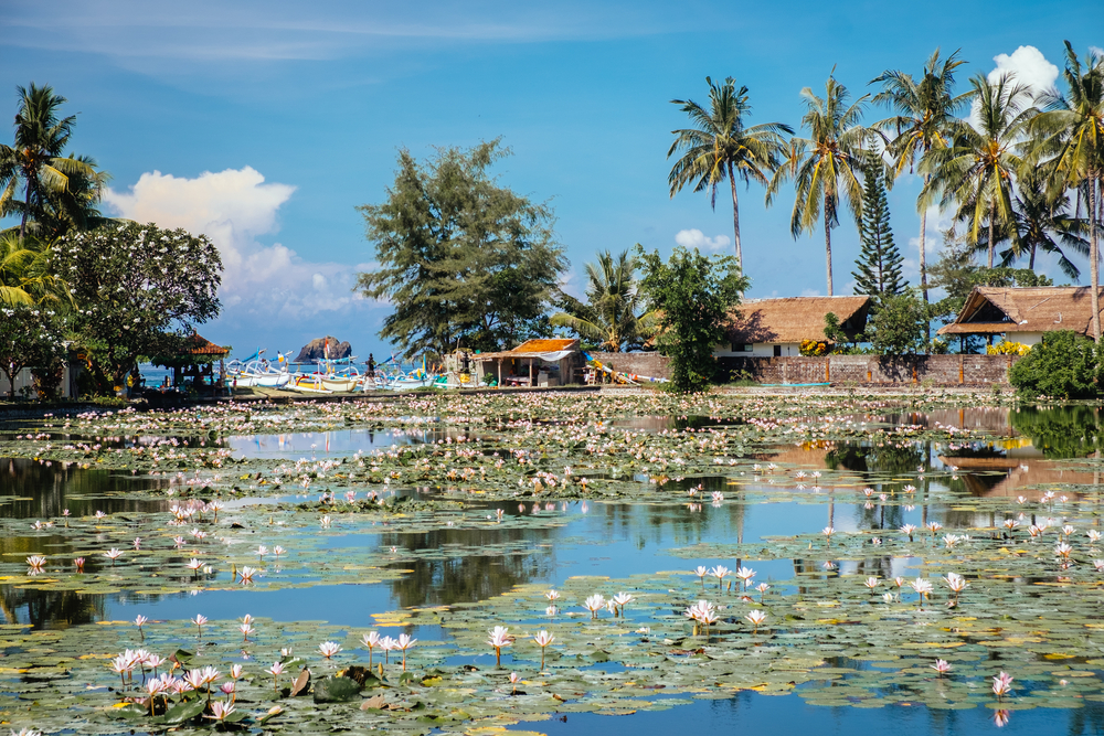 The Lotus Lagoon in Candidasa is a beautiful place for a morning stroll.