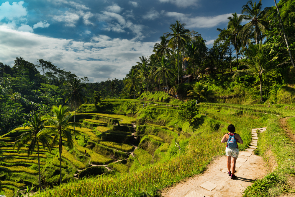 The incredible Tegalalang rice terraces are a must-see in Ubud.