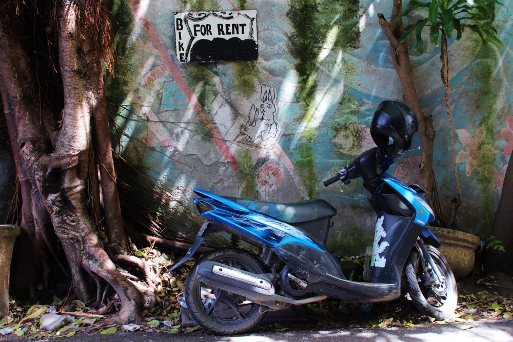 Should you rent a motorbike in Bali? https://www.flickr.com/photos/139070641@N04/24699084651/in/photolist-4Eo2bG-ntXNN7-Cek4mj-DCzgn6-Sw1EfH-4PTGT7-93xaeo-oGGkij