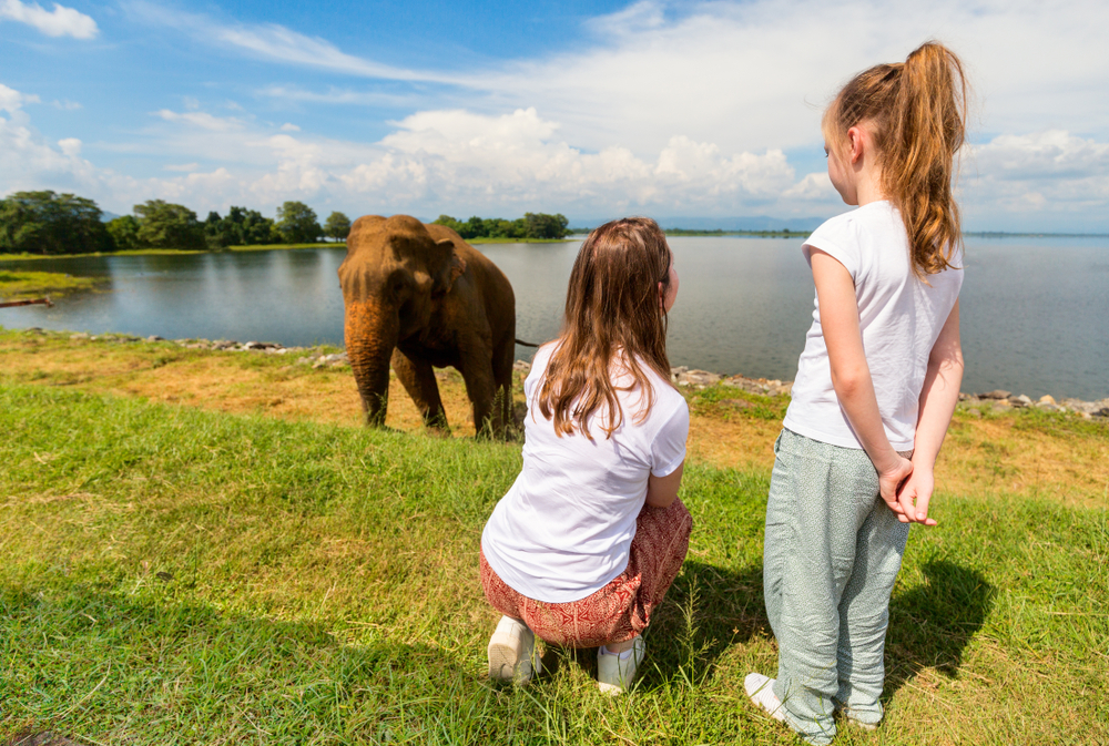 Sri Lanka is a perfect family destination (location - the Udawalawe National Park)