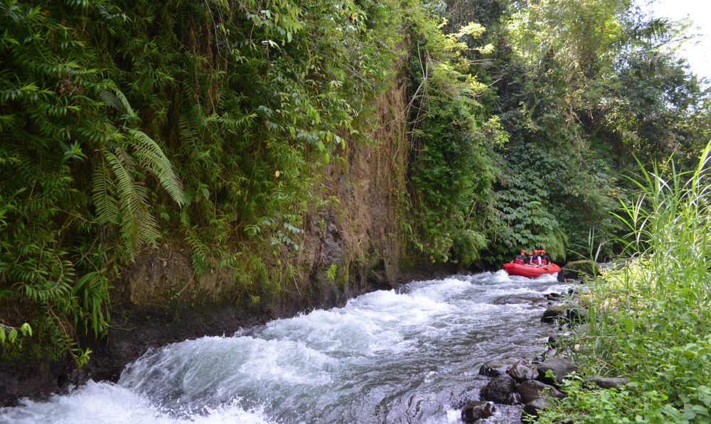 Whitewater rafting is an exhilarating way to explore Bali's natural scenery during your corporate retreat.