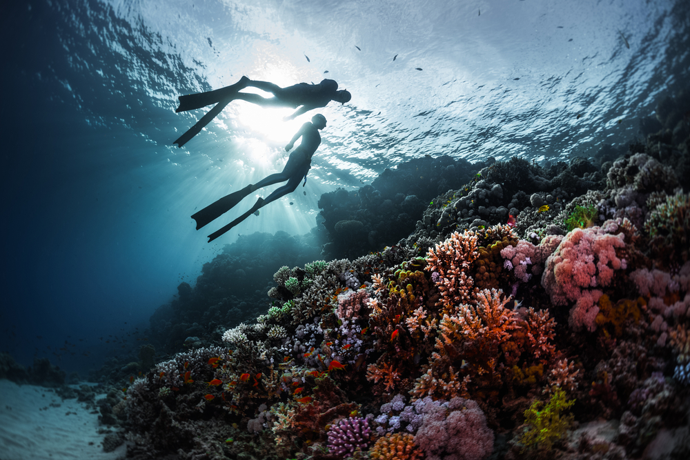 Exploring the underwater world with your soulmate is just amazing!