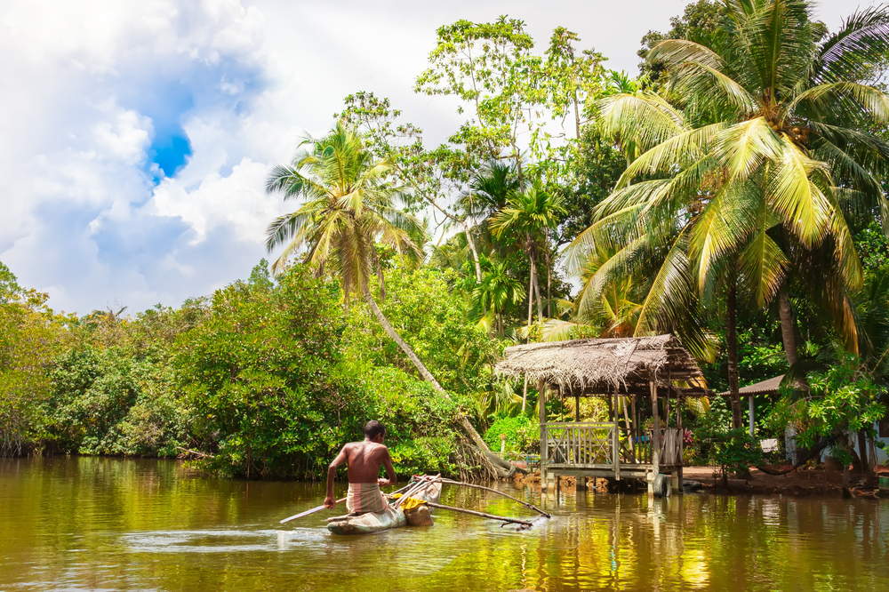 Man rowing a canoe towards mangrove forest