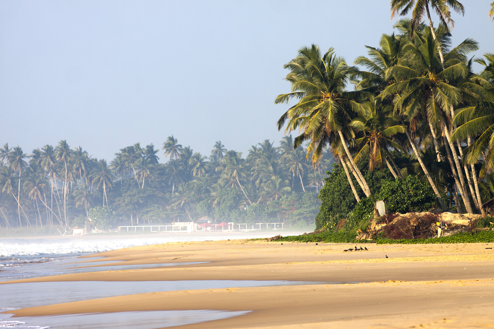 Just imagine visiting this gorgeous tropical beach