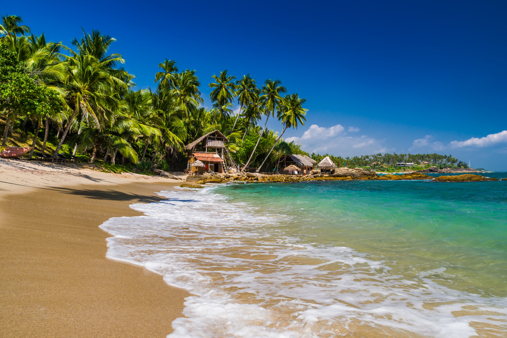 Tropical Sri Lanka beach with beautiful palm trees