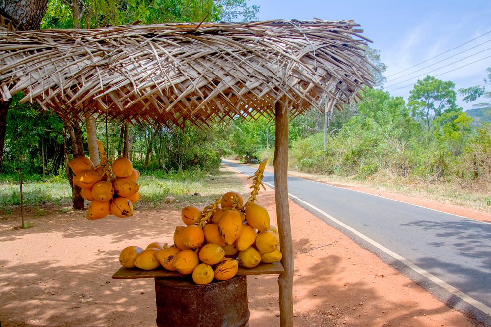 Wondering what to try on your honeymoon? Opt for the fresh coconuts!