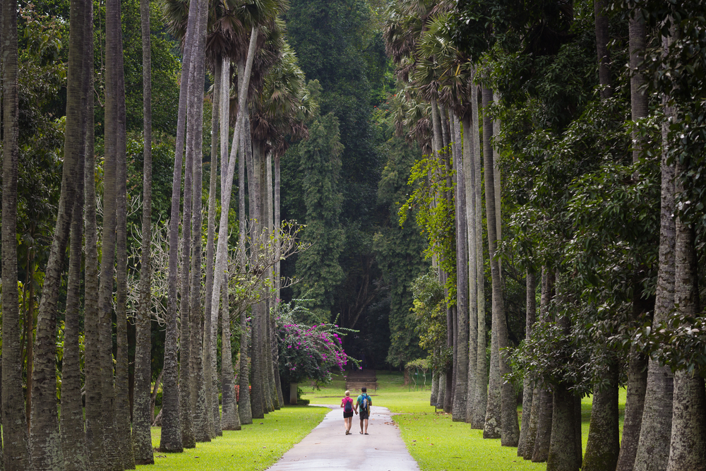 eco traveling in sri lanka