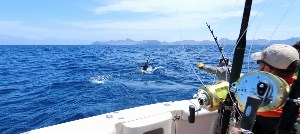 Take your team out for an unforgettable deep sea fishing adventure in Sri Lanka.
