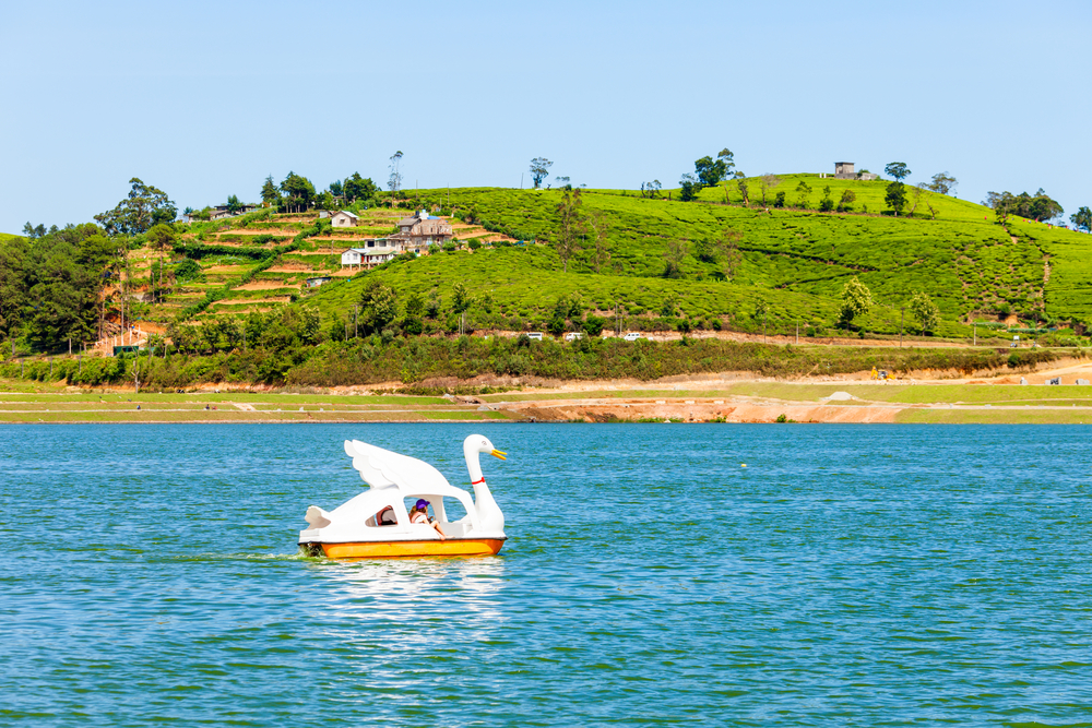 Who wouldn't love to take a swan boat ride in the Gregory Lake?